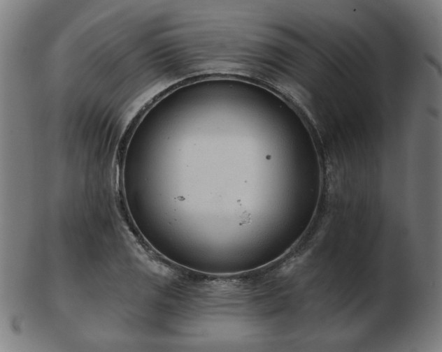 X0000103421125200809121301