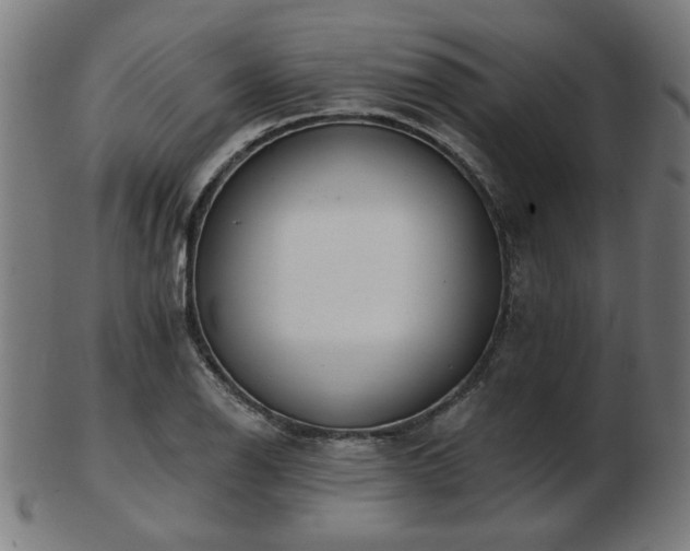 X0000103421126200809121301