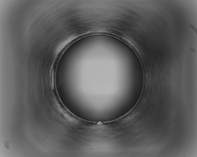 X0000103421127200809121301