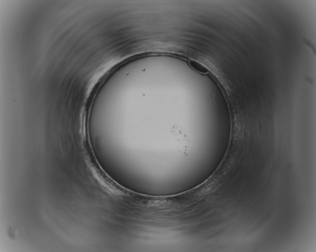 X0000103421128200809121301