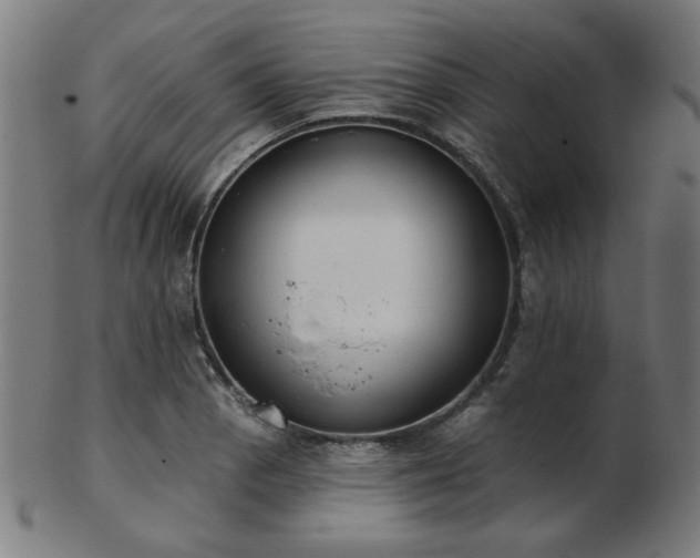 X0000103421129200809121301