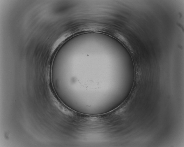 X0000103421130200809121301