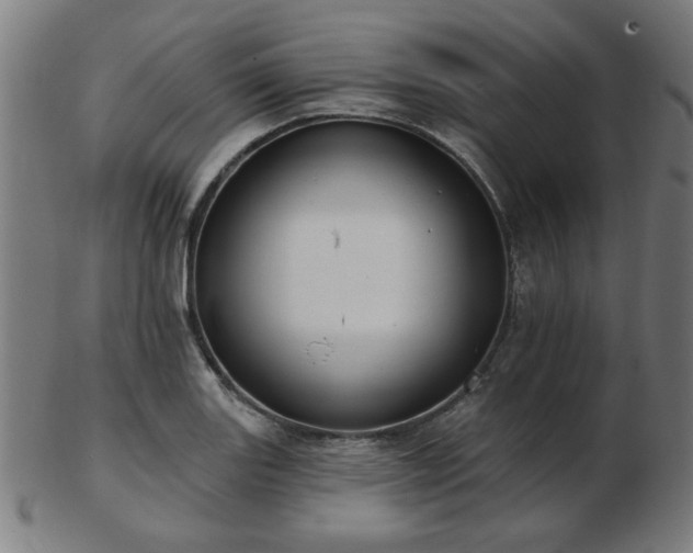 X0000103421131200809121301