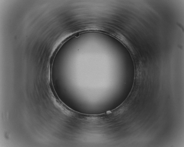 X0000103421132200809121301
