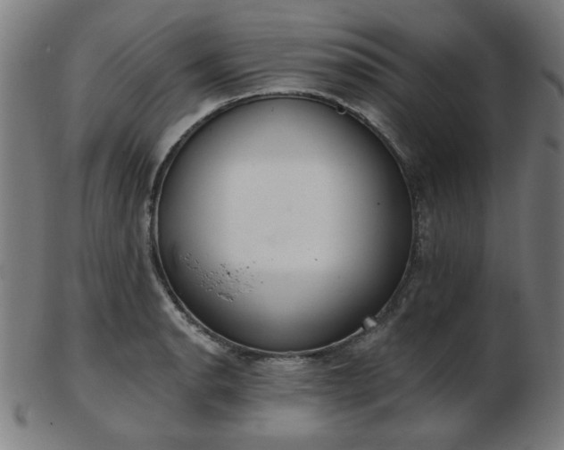 X0000103421134200809121301