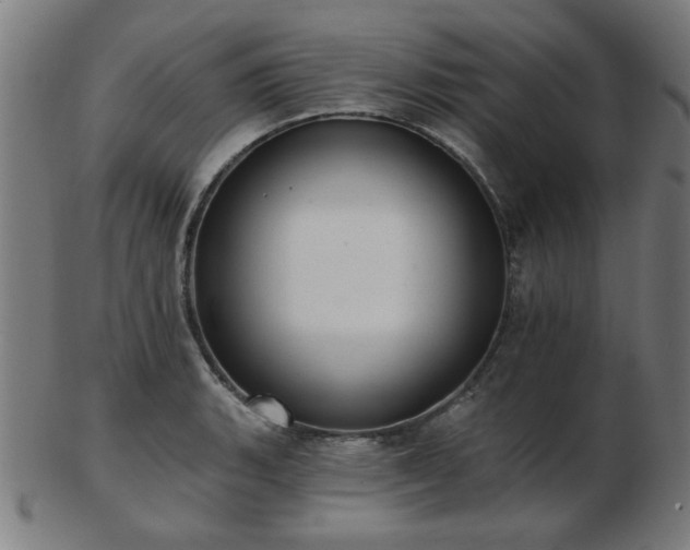 X0000103421135200809121301