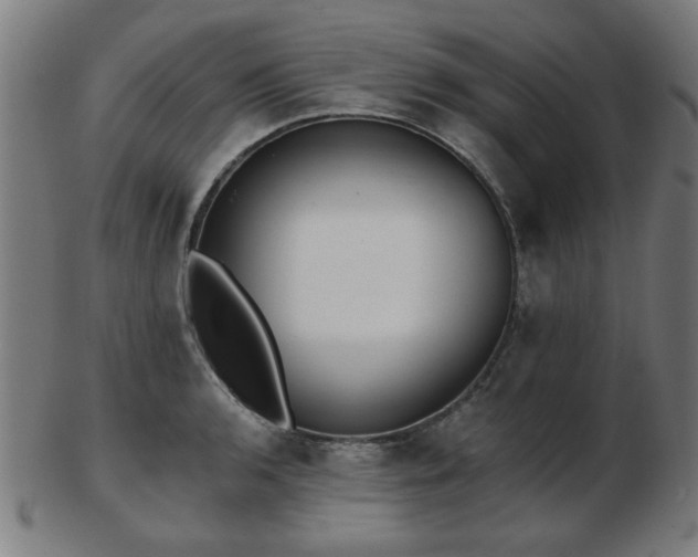 X0000103421136200809121301