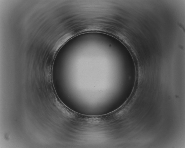 X0000103421137200809121301