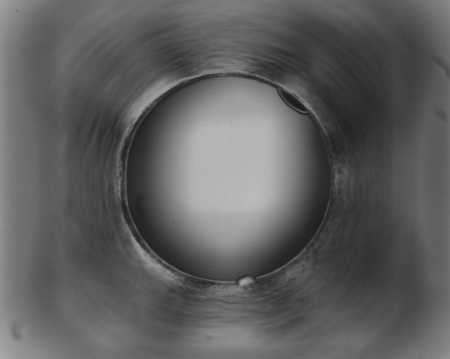 X0000103421143200809121301