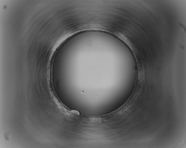 X0000103421144200809121301