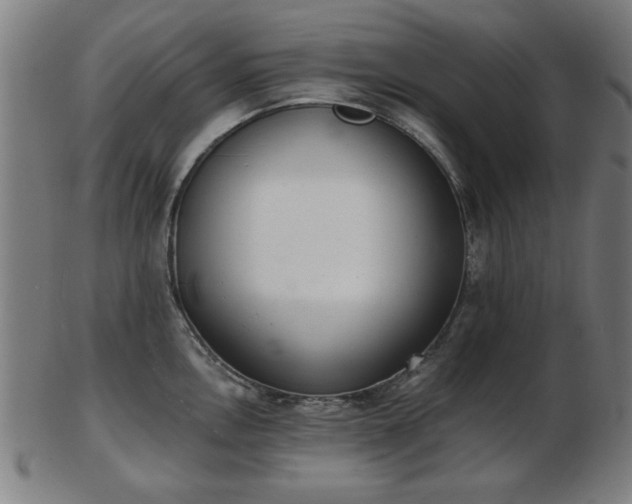 X0000103421146200809121301