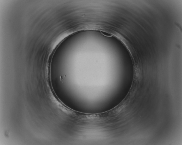 X0000103421147200809121301