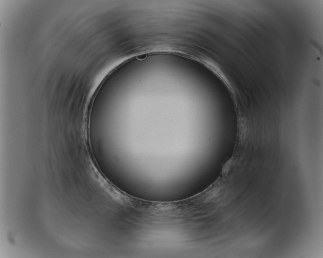 X0000103421148200809121301