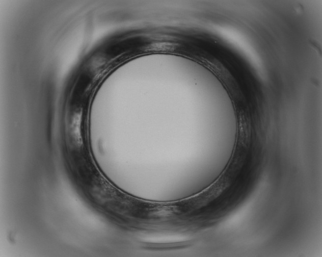 X0000103421150200809121301