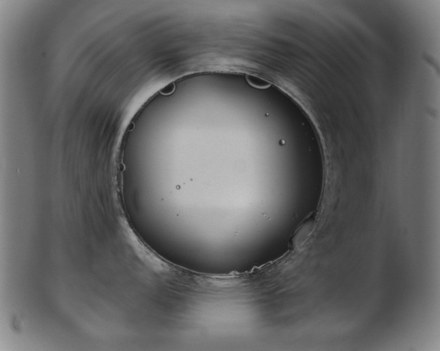 X0000103421152200809121301