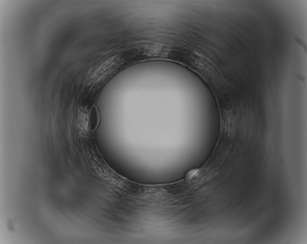 X0000103421154200809121300