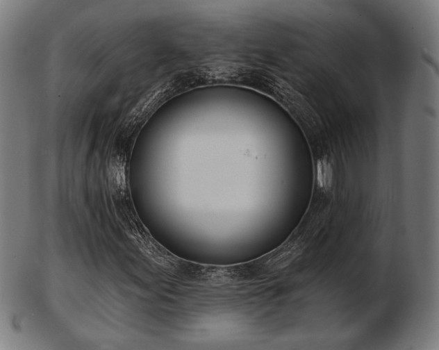 X0000103421155200809121300