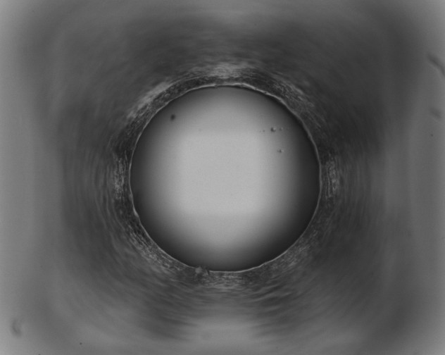 X0000103421158200809121300