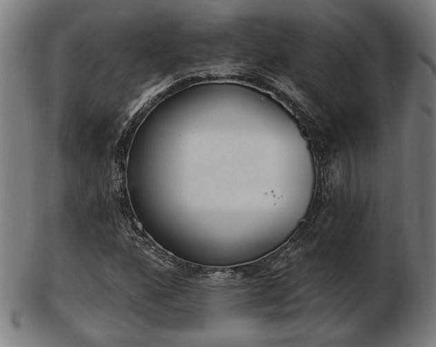 X0000103421160200809121300