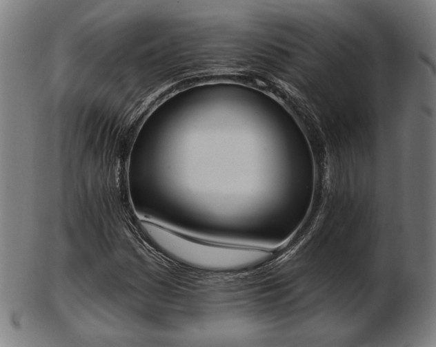 X0000103421161200809121300