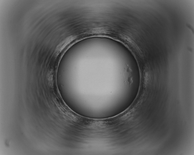 X0000103421162200809121300