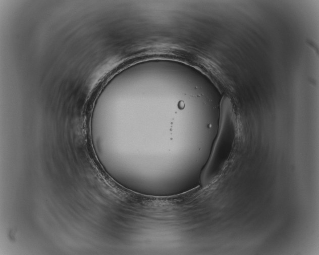 X0000103421164200809121300
