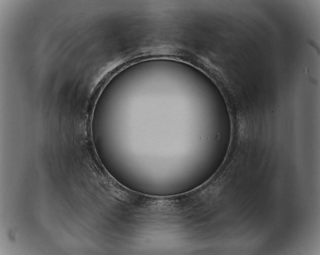 X0000103421166200809121300