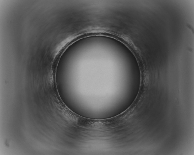X0000103421167200809121300