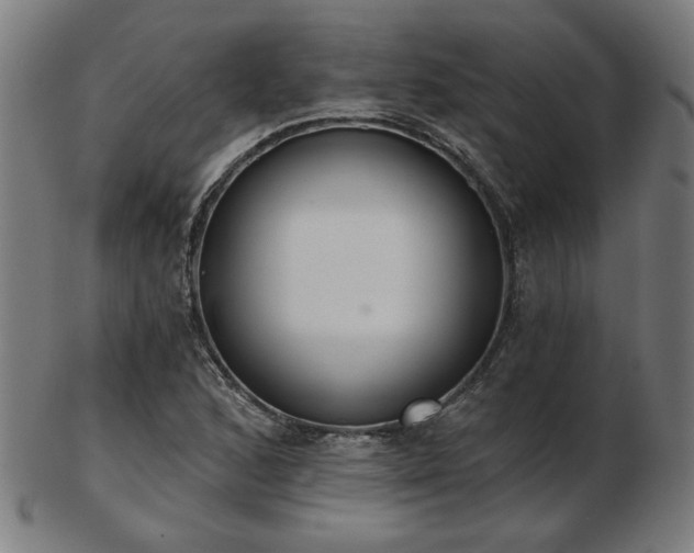 X0000103421168200809121300