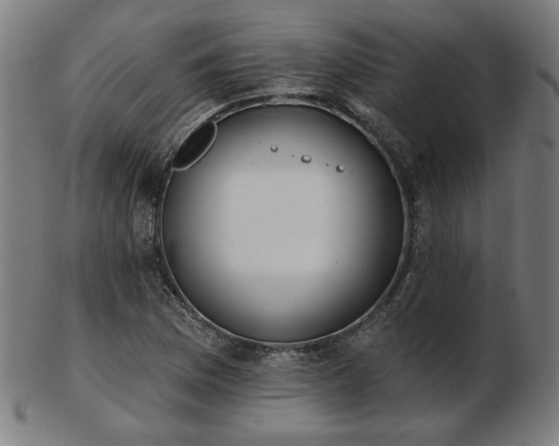 X0000103421169200809121300