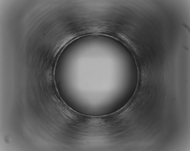 X0000103421170200809121300