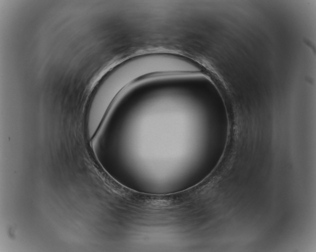 X0000103421173200809121300
