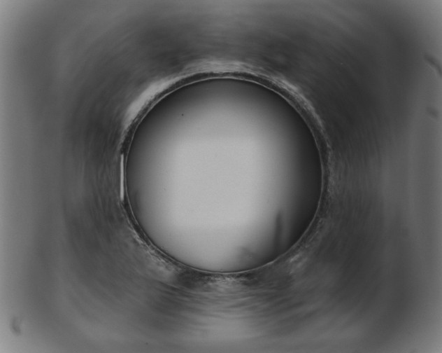 X0000103421175200809121300