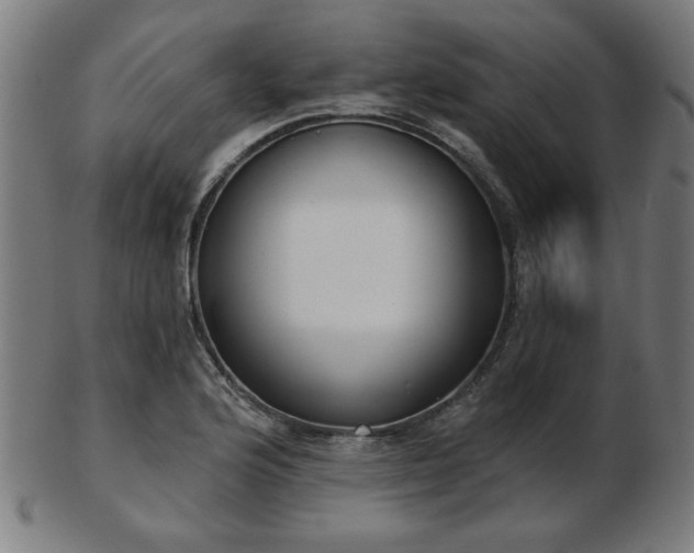 X0000103421176200809121300