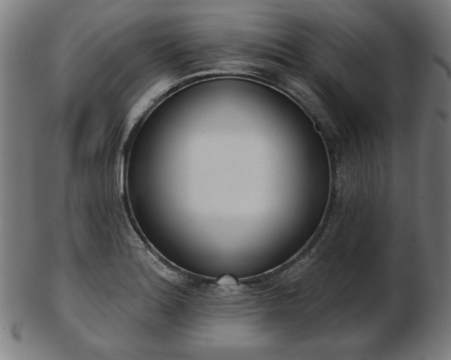 X0000103421180200809121300