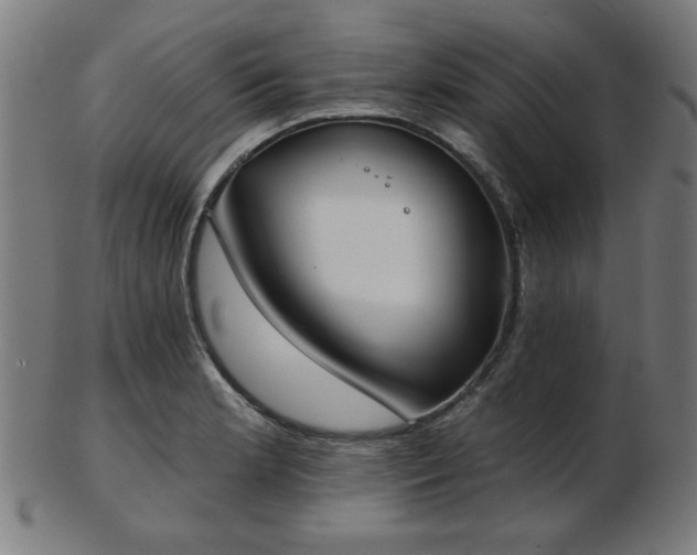X0000103421181200809121300