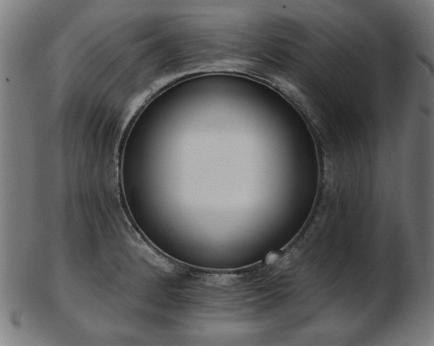 X0000103421184200809121300