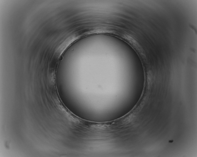 X0000103421185200809121300