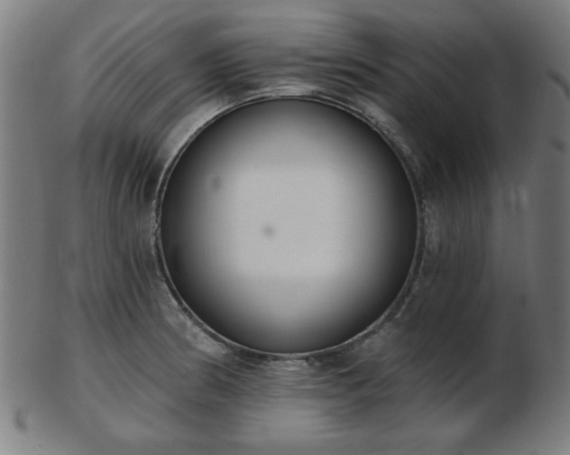 X0000103421186200809121300