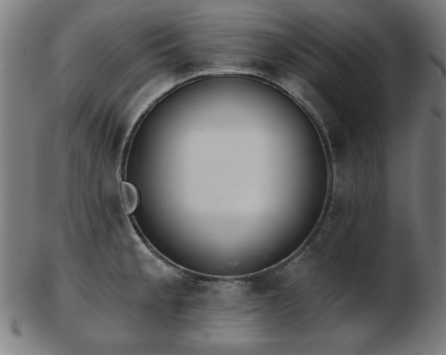 X0000103421189200809121300