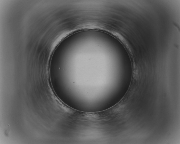 X0000103421191200809121300