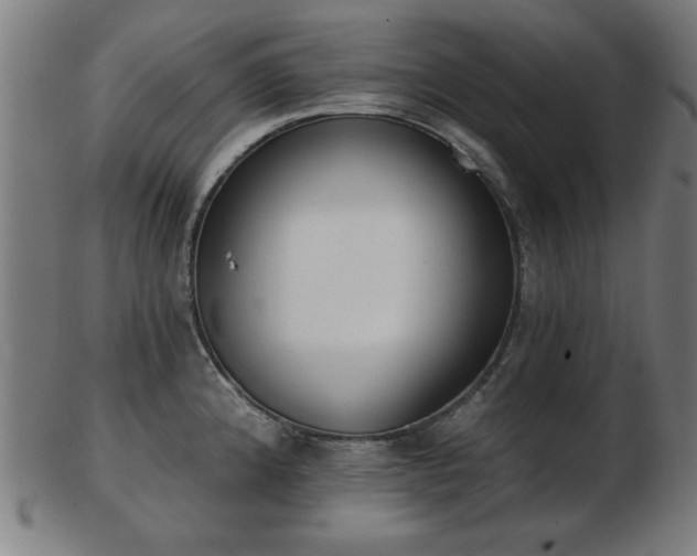 X0000103421192200809121300