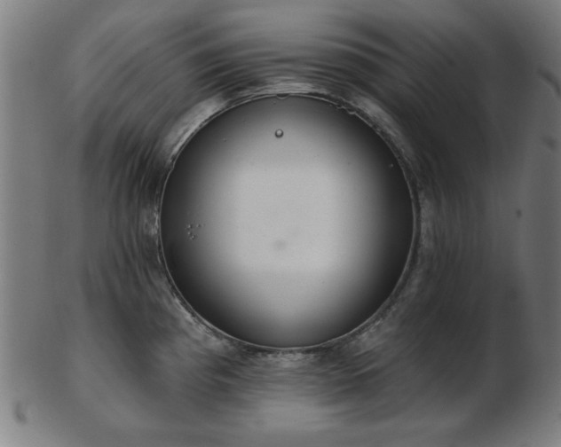 X0000103421193200809121300