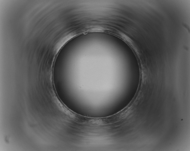 X0000103421194200809121300