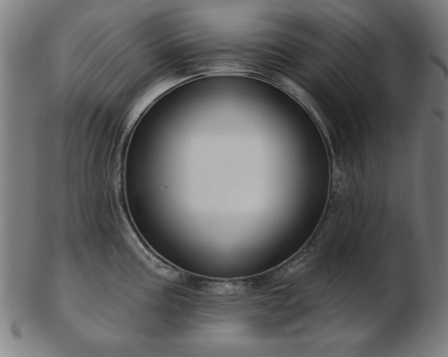 X0000103421195200809121300