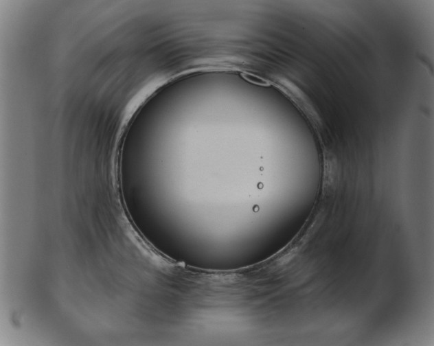 X0000103421196200809121300