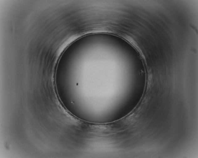 X0000103421197200809121300
