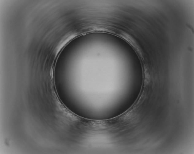 X0000103421198200809121300