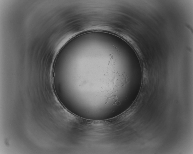 X0000103421199200809121300