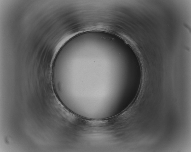 X0000103421200200809121300